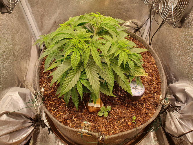 Tag 29 -2026-03-05-214446_007