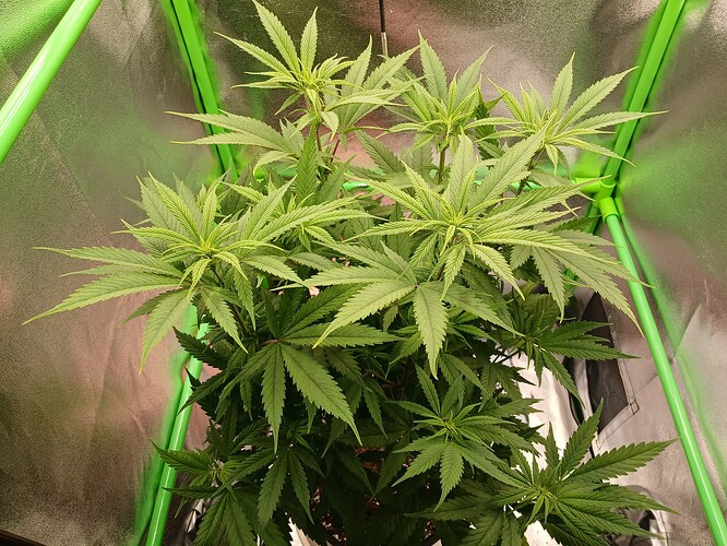 Growreport Bild 12