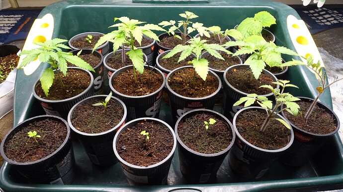 Growreport Bild 10