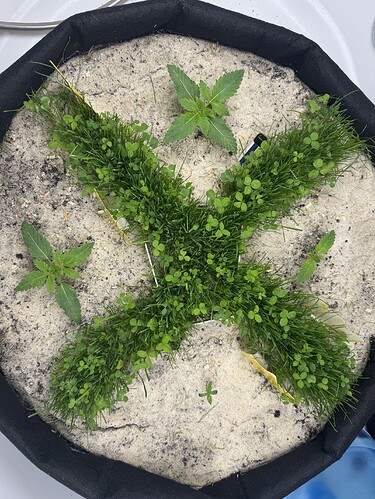 Growreport Bild 1