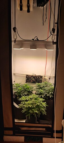 Growreport Bild 1