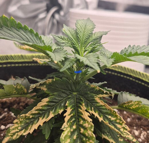 Growreport Bild 11