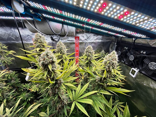 Growreport Bild 21