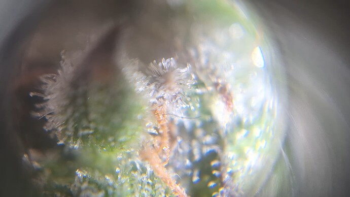 Growreport Bild 11