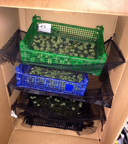 Growreport Bild 8