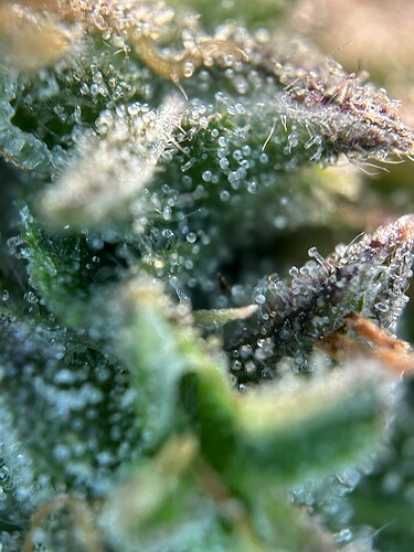 Growreport Bild 8