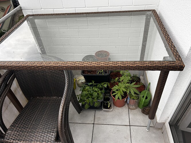 Growreport Bild 26