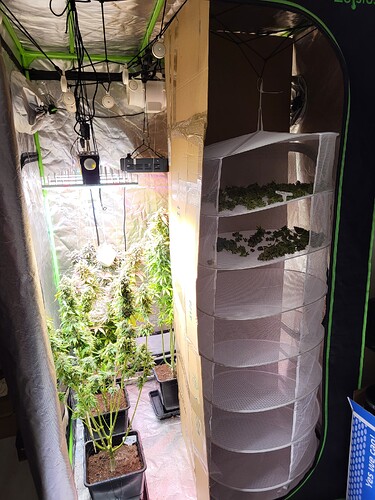 Growreport Bild 1