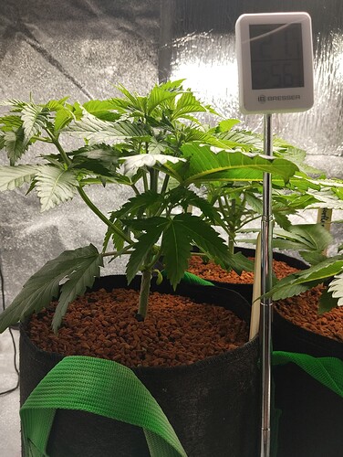 IMG_20241215_183043 - Kopie