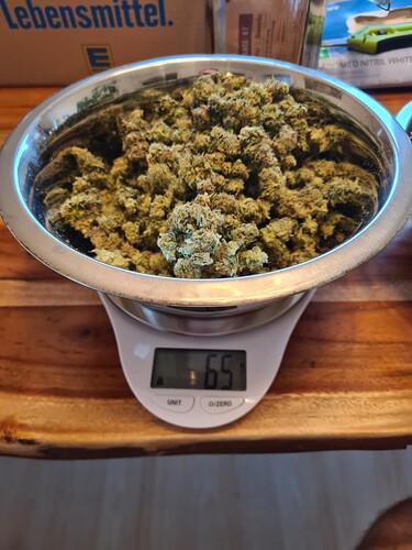 Growreport Bild 7