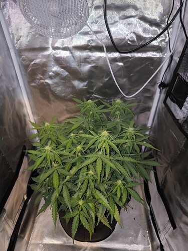 Growreport Bild 16