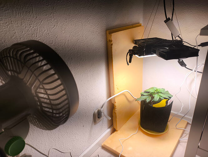 Growreport Bild 2