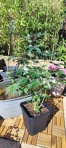 Growreport Bild 6