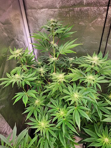 Growreport Bild 2