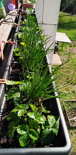 17447071958918056434586204473012