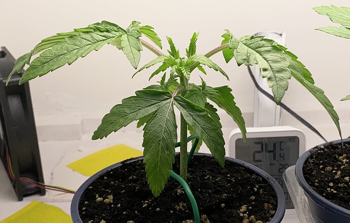 Growreport Bild 22