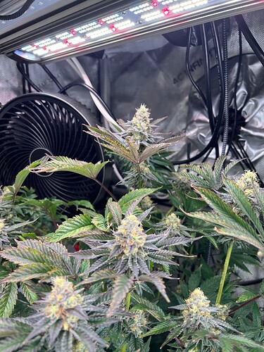 Growreport Bild 4