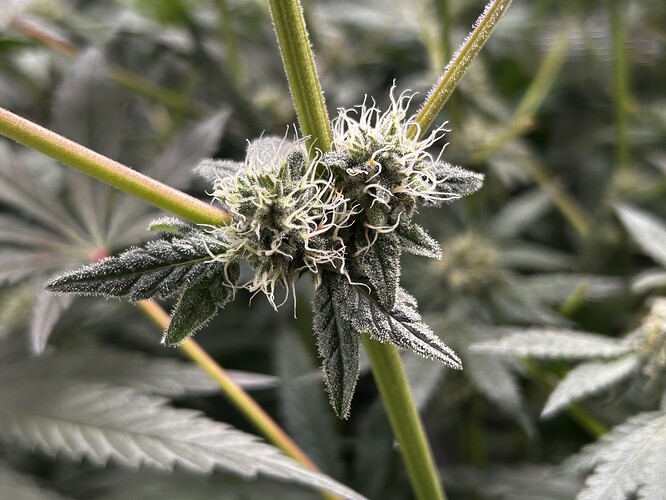 Growreport Bild 26