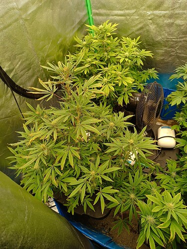 Growreport Bild 4