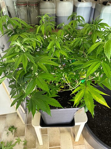 Growreport Bild 54