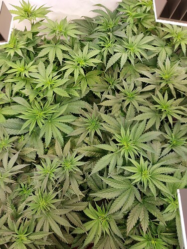 Growreport Bild 10