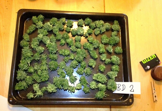 Grow25_1017b_4