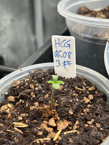 Growreport Bild 26