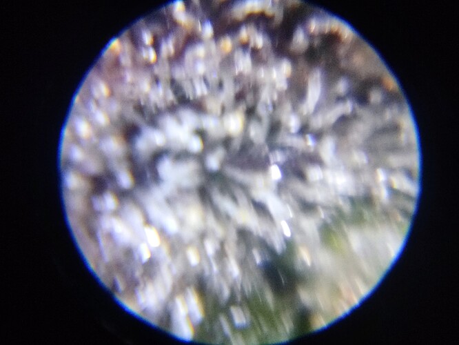 Growreport Bild 69