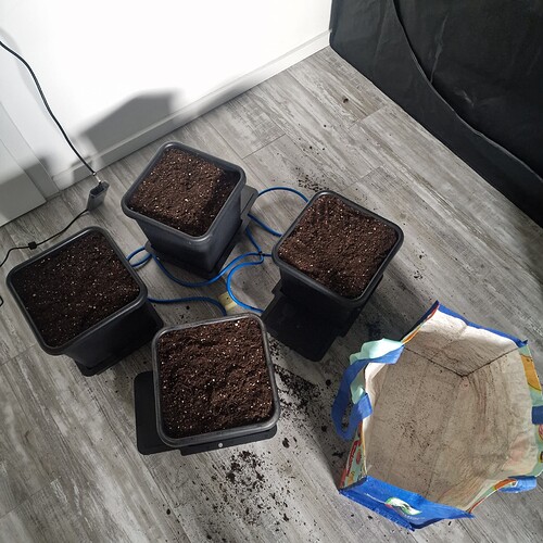 Growreport Bild 6