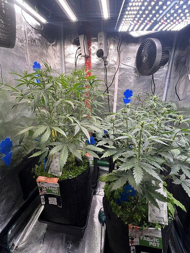 Growreport Bild 6