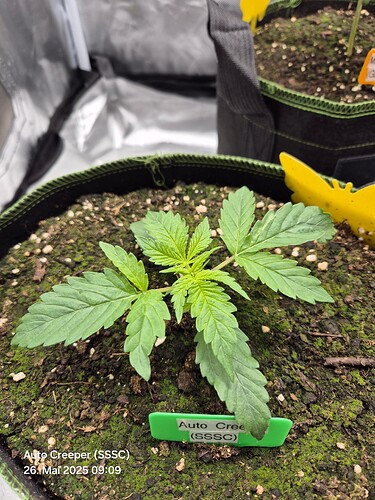 Growreport Bild 8