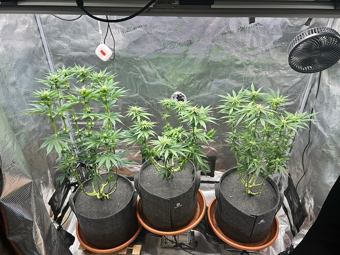 Growreport Bild 7