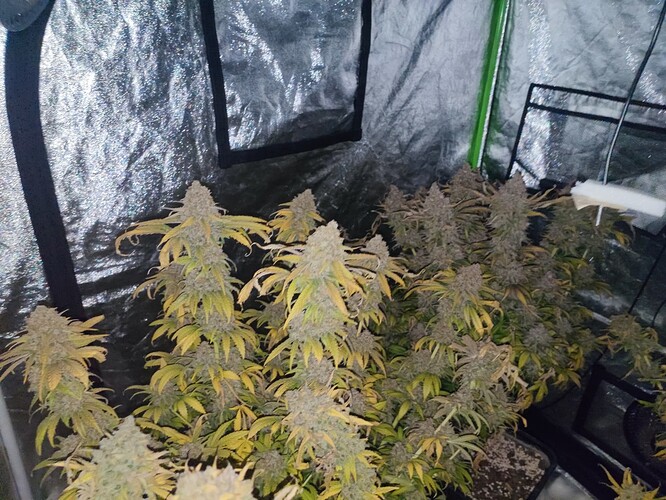 Growreport Bild 20