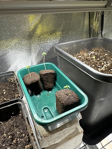 Growreport Bild 35