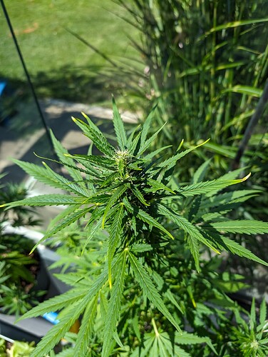 PXL_20240609_085135574