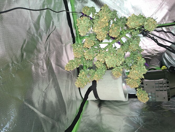 Growreport Bild 16