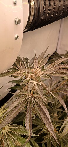 Growreport Bild 16