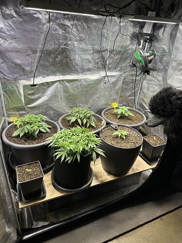 Growreport Bild 100
