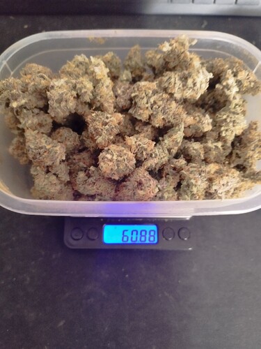 Growreport Bild 10