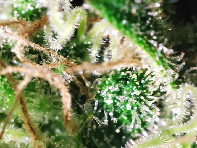 Growreport Bild 47
