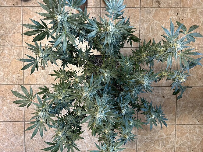 Growreport Bild 10