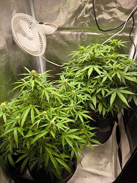 Growreport Bild 8