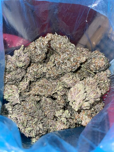 Growreport Bild 62