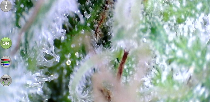 Growreport Bild 14