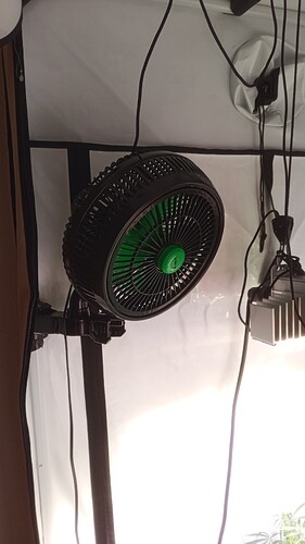 Growreport Bild 6