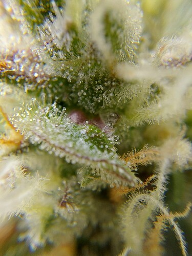 Growreport Bild 10