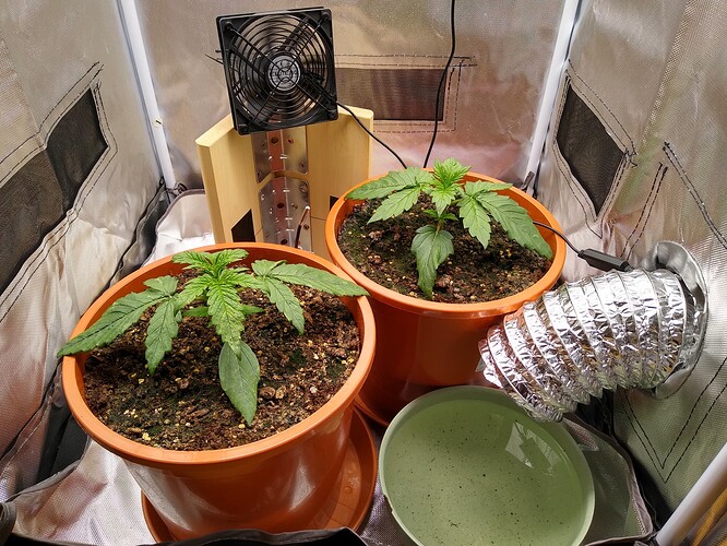 IMG_20240428_154939318_HDR