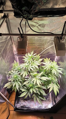 Growreport Bild 22