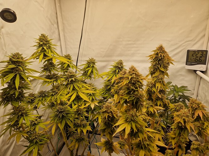 Growreport Bild 7