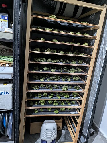 Growreport Bild 6